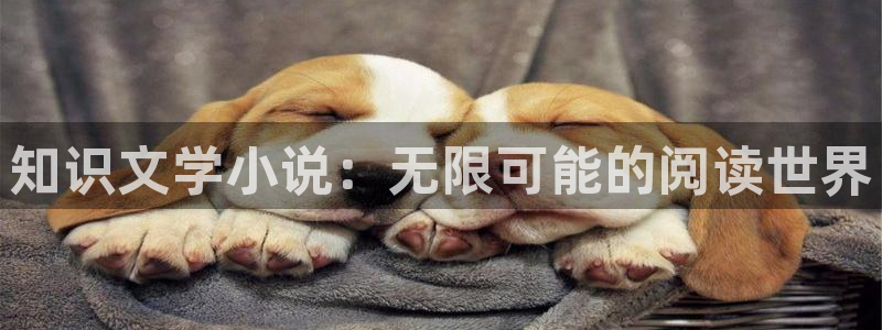 知轩藏书网入口